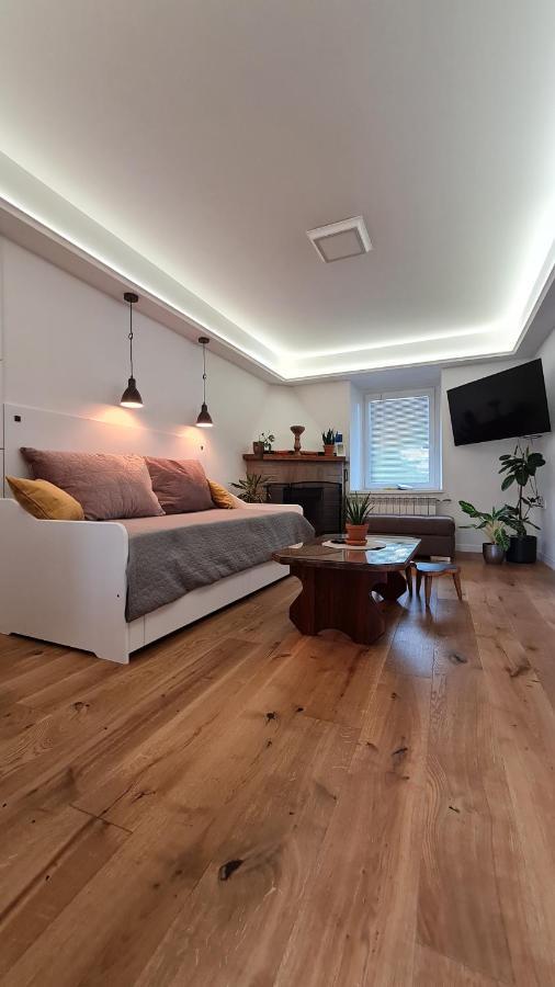 Friz&Fany Postojna City Center Bagian luar foto